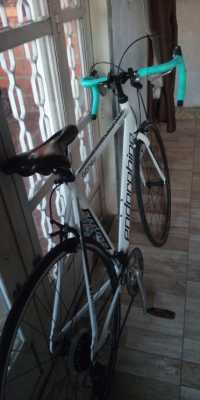 Bicicleta Speed Endorphine