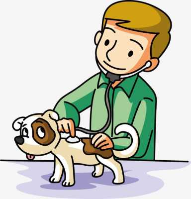 HCV - Hospital de Clínicas Veterinárias