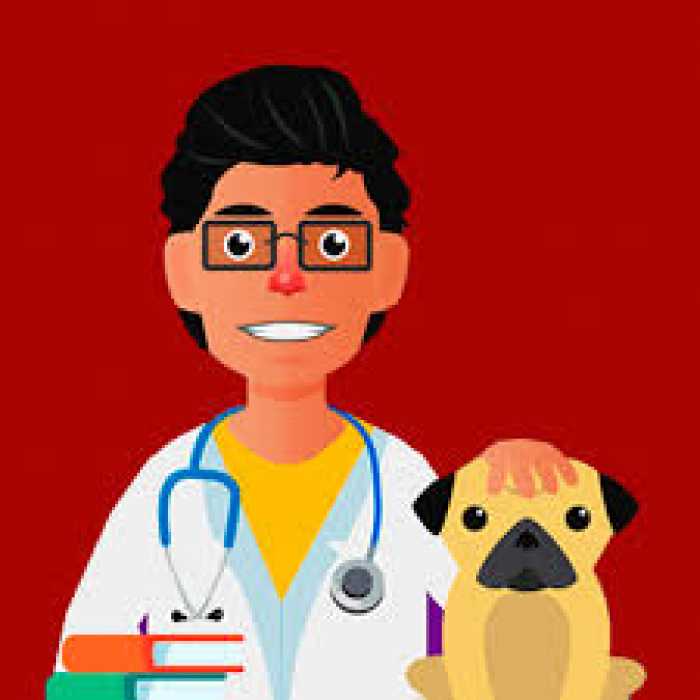 Veterinário Sol & Lua