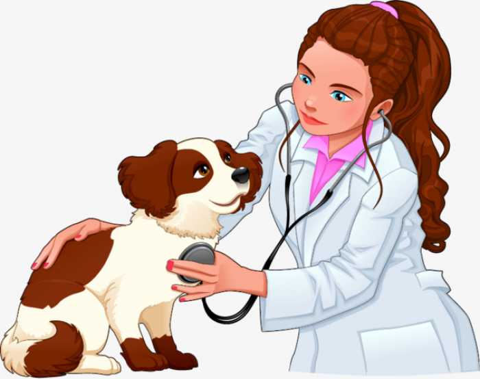 HCV - Hospital de Clínicas Veterinárias